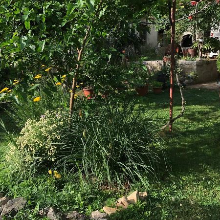 Green Quiet Apartments Водице Экстерьер фото